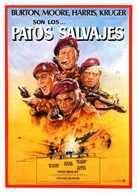 Ficha Patos Salvajes