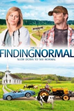 Poster Finding Normal