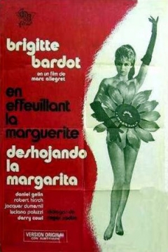 Poster Deshojando la Margarita