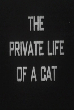 Poster The Private Life of a Cat
