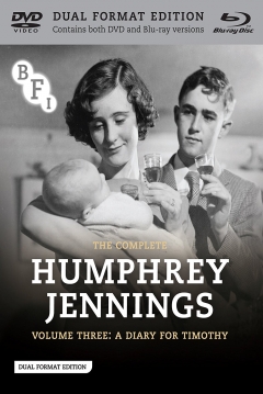 Poster A Diary for Timothy