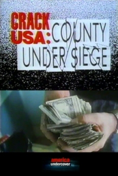 Poster Crack USA: County Under Siege