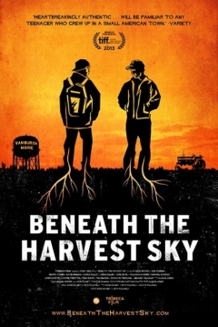 Poster Beneath The Harvest Sky
