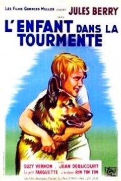 Poster Retour au Bonheur