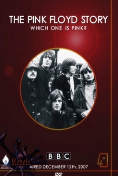 Poster Cual de ellos es Pink?