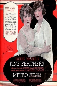 Poster Fine Feathers