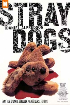 Poster Straydogs