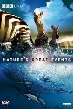 Poster Nature's Great Events
