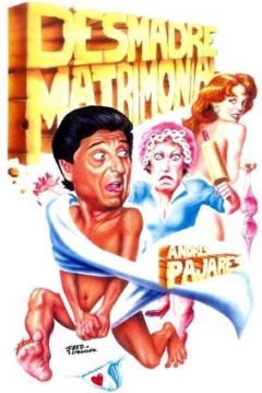 Poster Desmadre Matrimonial 