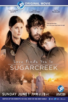 Un Extraño en Sugarcreek — póster