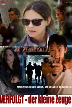 Poster El Pequeño Testigo