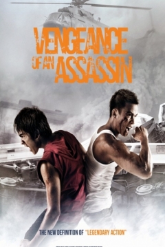 Poster Vengeance of an Assassin