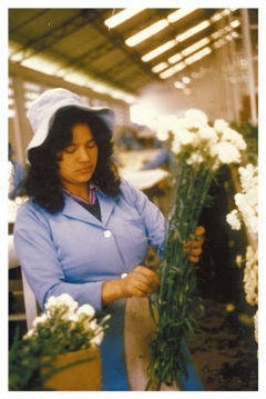 Poster Amor, Mujeres y Flores