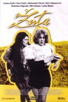 Poster Zuta