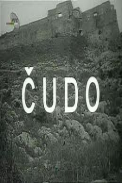 Poster Cudo