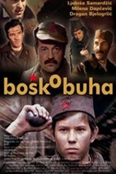 Poster Bosko Buha