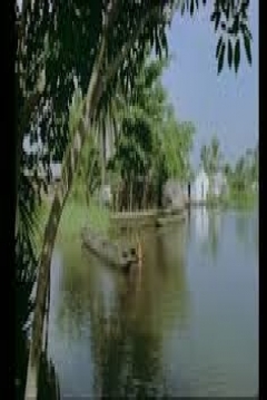 Poster Cienaga Grande