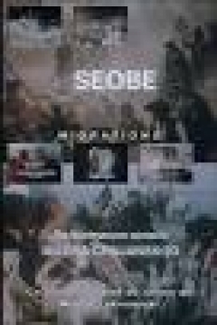 Poster Migrations