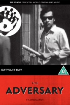 Poster The Adversary