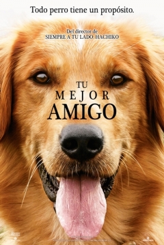 Poster Tu Mejor Amigo