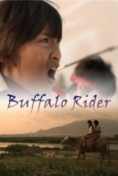 Poster Buffalo Rider