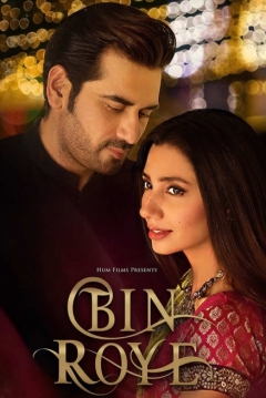 Poster Bin Roye