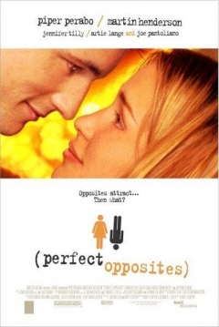 Poster Perfect Opposites