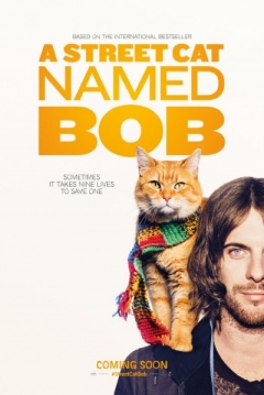 Ficha Un Gato Callejero Llamado Bob