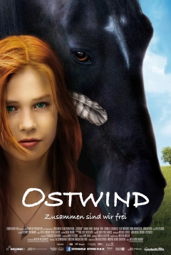 Poster Windstorm