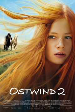 Poster Windstorm 2