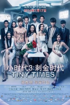 Poster Tiny Times 3.0