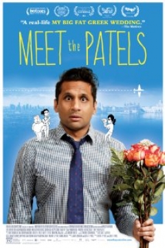 Poster Meet The Patels