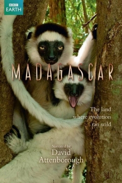 Poster Madagascar