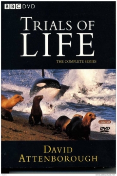 Ficha La Vida a Prueba: Historia Natural del Comportamiento