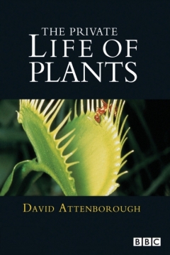 Poster La Vida Privada de las Plantas