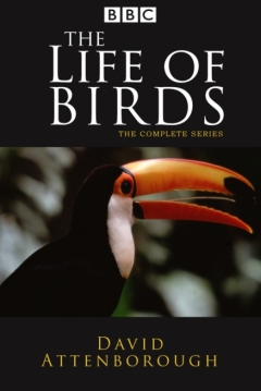 Poster La Vida de las Aves