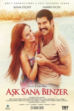 Poster Un amor junto al mar