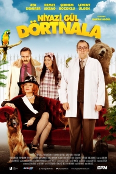 Poster Niyazi Gul: The Galloping Vet