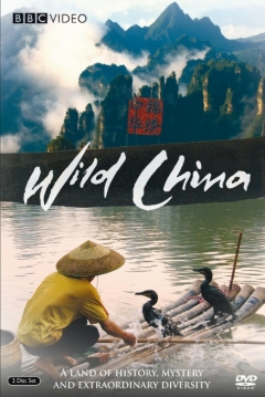 Poster China Salvaje