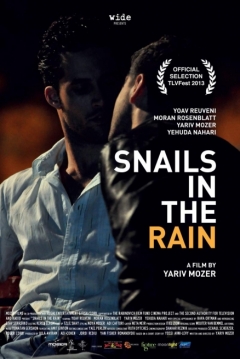 Poster Snails In The Rain