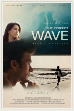 Poster La Ola Perfecta