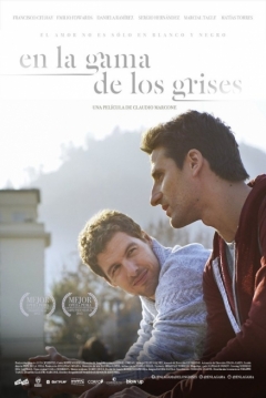 Poster En la Gama de los Grises
