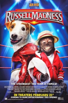 Poster Russell Madness
