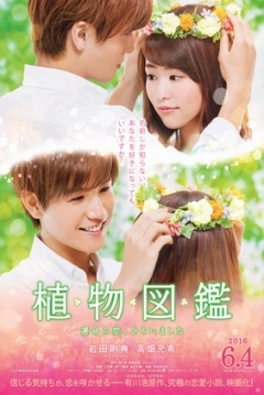 Poster Evergreen Love