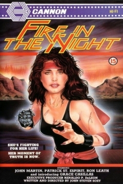 Poster Fire in the Night
