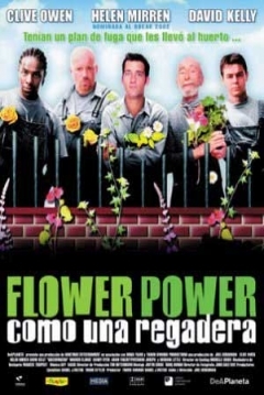 Poster Flower Power: Como una Regadera