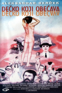 Poster The Promising Boy
