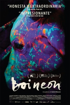 Póster de Boi Neon