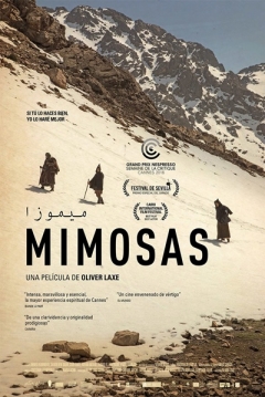 Poster Mimosas