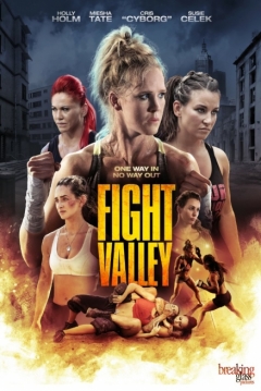 Poster Fight Valley